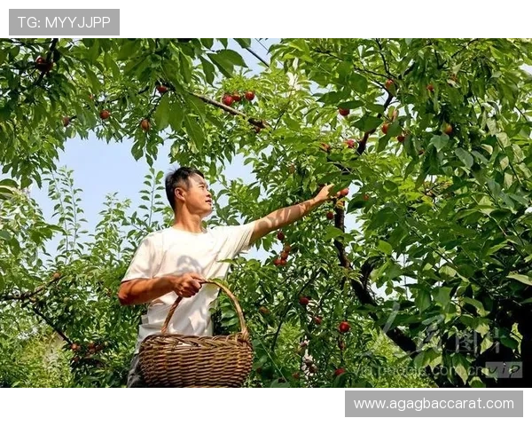 云顶集团首页在哪详细介绍官方入口导航及最新登录方式指南