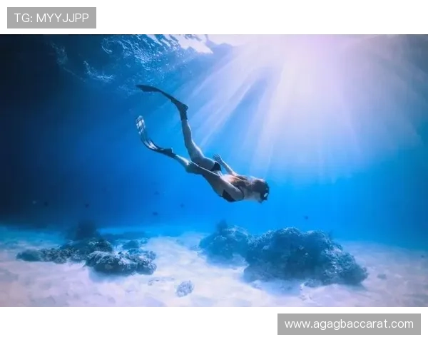 马会投注注册中心全面指南帮助新手快速注册并掌握投注技巧提升中奖几率