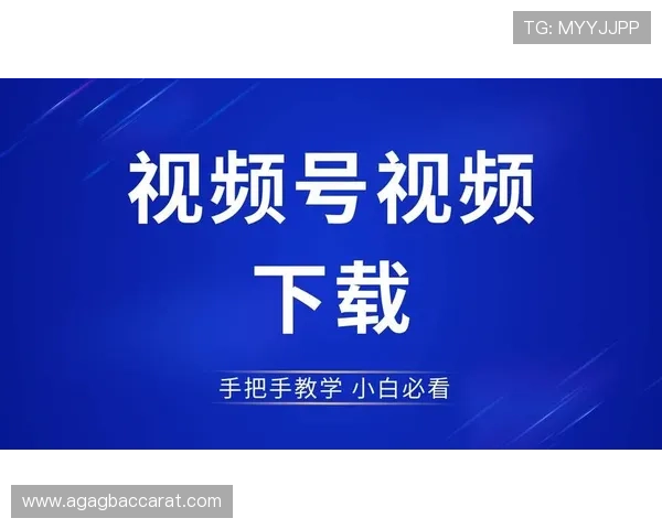 dg视讯app下载下载安装教程，详细步骤帮助新手快速上手